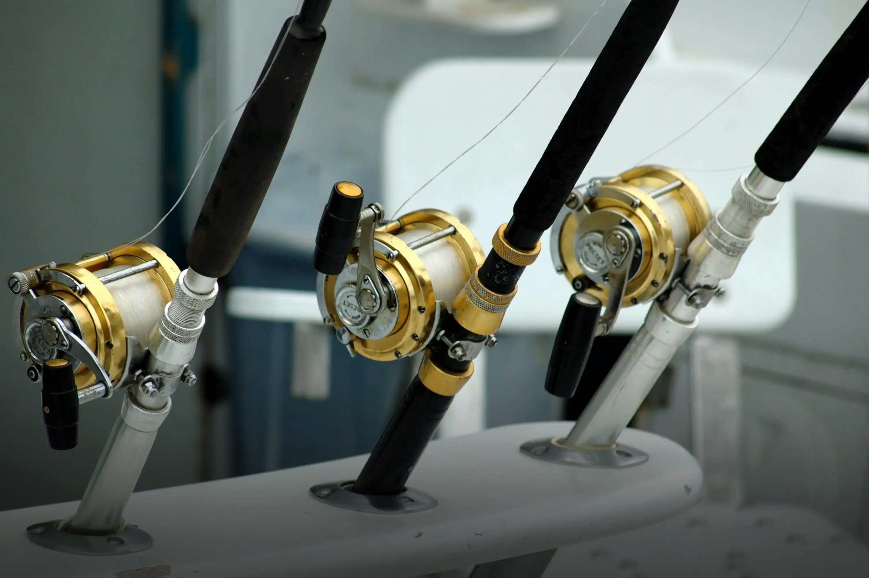 Fishing Charters