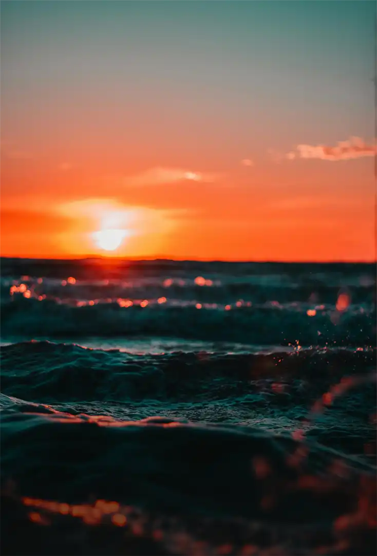 Sunset Charters