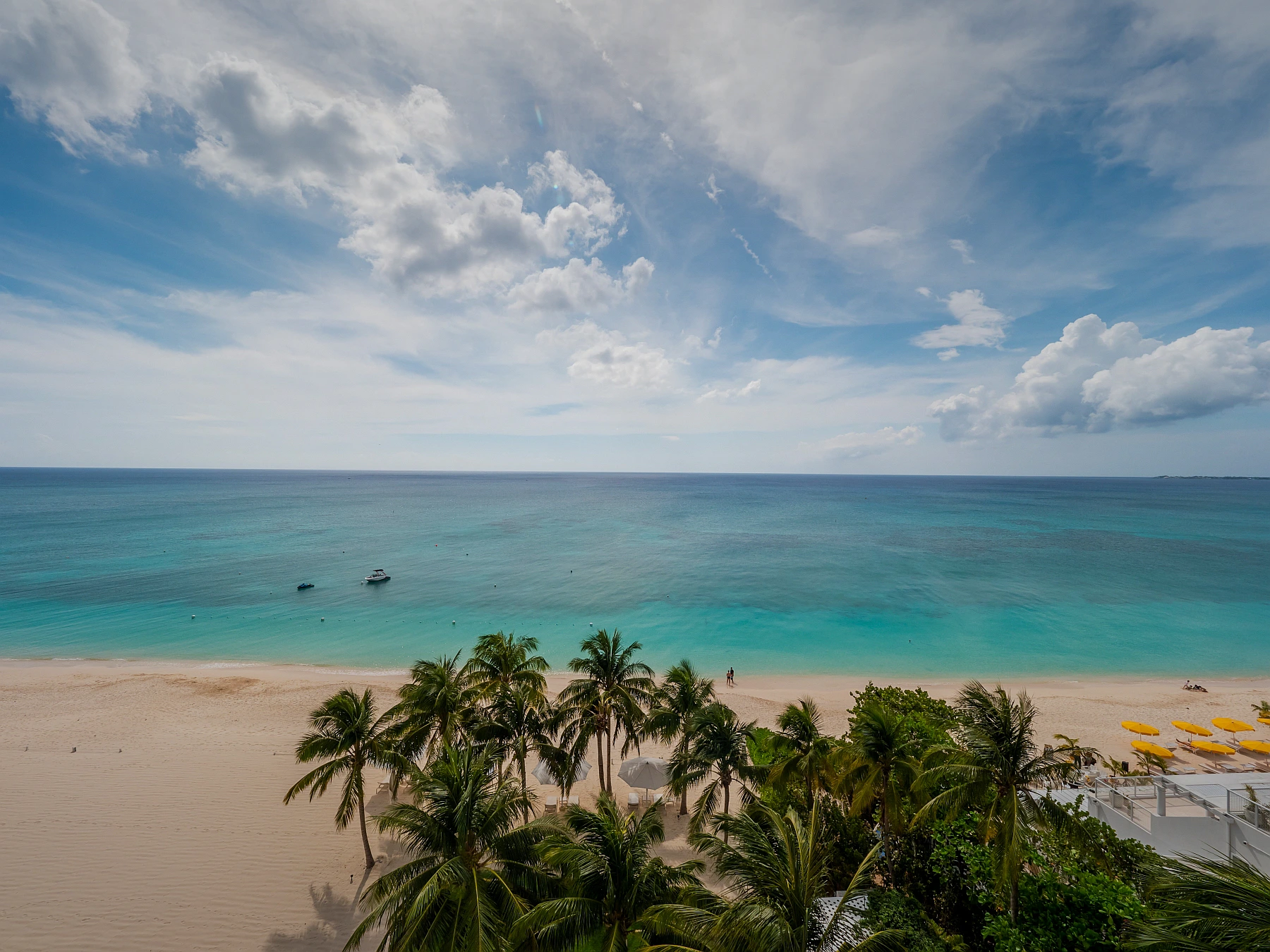 Watercolours 101 - Image 2