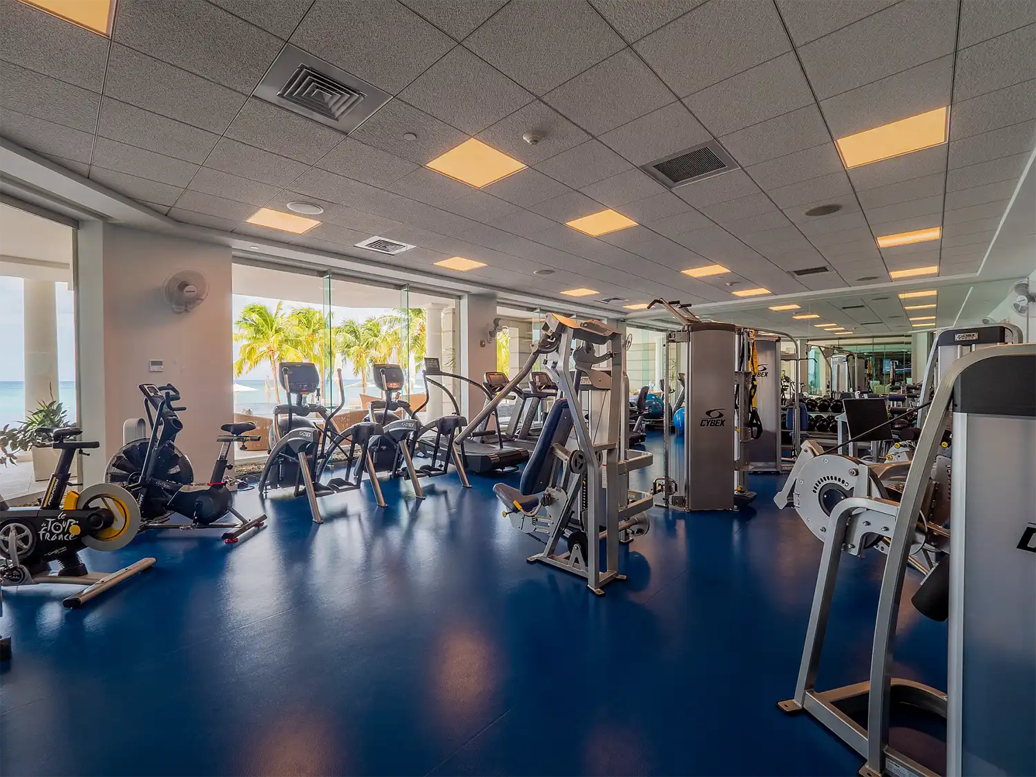 Watercolours 101 - Image 35